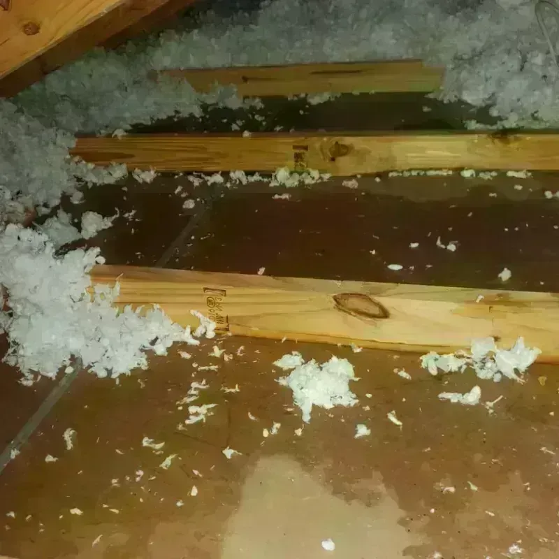 Attic Water Damage in Centerville, MO